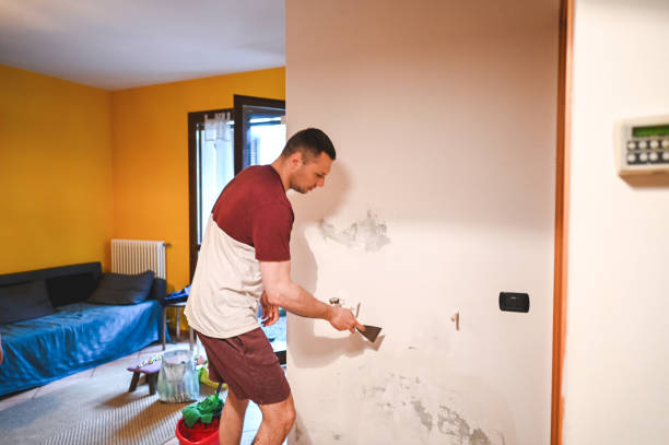 Professional Mold Removal in West Haven, UT